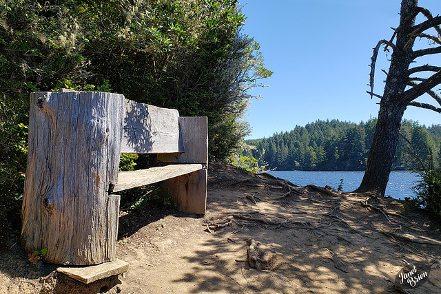 Happy Bench Monday from Tugman State Park! (+7 insets)