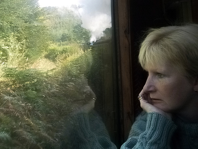 Reflections on a train journey