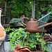 IMG 0997-001-Watering Can