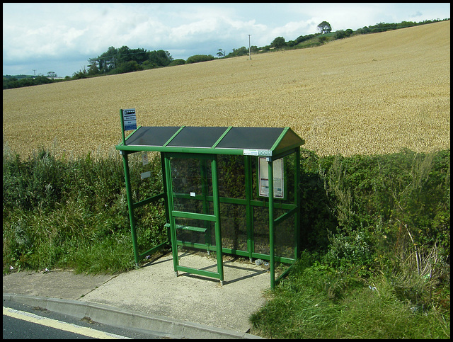 Dorset green bus shelter