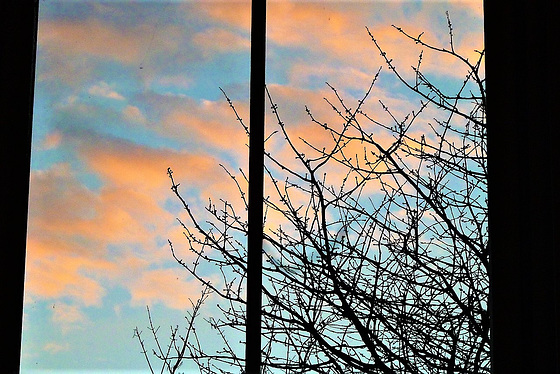 Pink clouds on 22.1.23