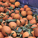 Fresh Oranges – Old Market, Acco, Israel