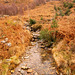 Llyn Dinas stream