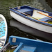 IMG 1007-001-Rowboat & Paddleboard
