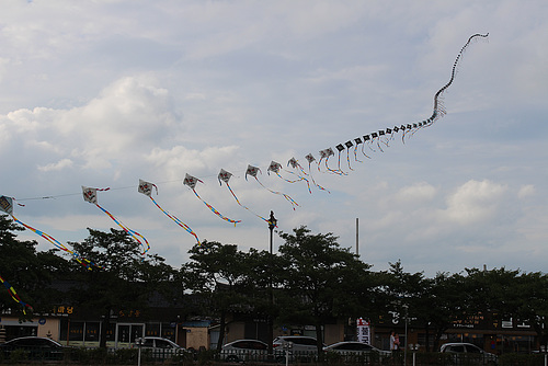 Kites, around 100