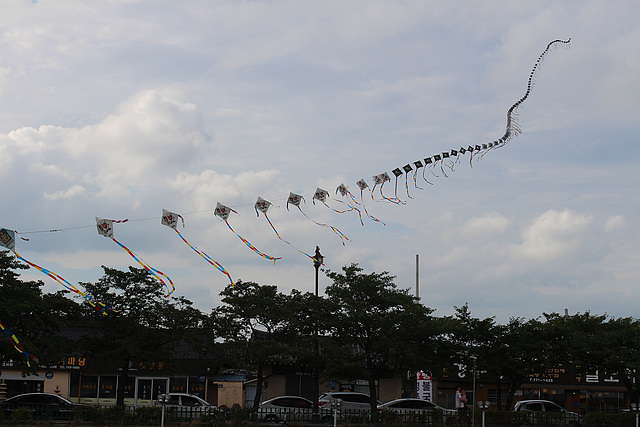 Kites, around 100