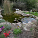 Israel, Eilat, Japanese Pond in the Botanical Garden