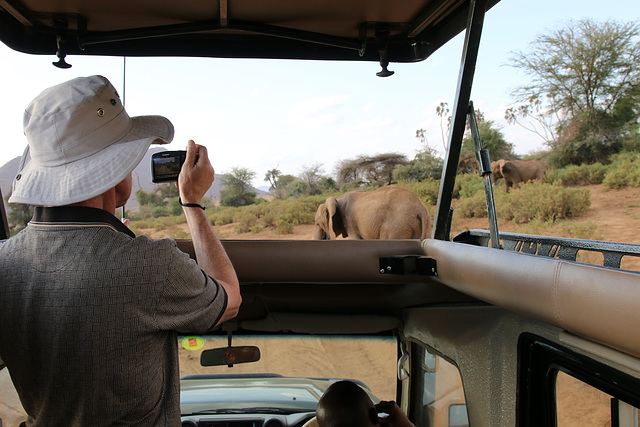 In the safari van