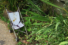 IMG 1013-001-Abandoned Pushchair