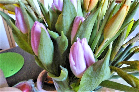 I do like the pale purple tulips