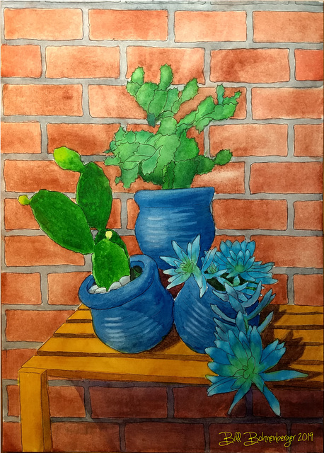 Succlents 11x15in