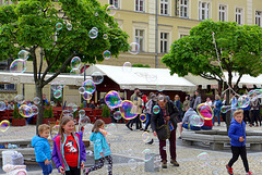 Wrocław's Bubble World Benches