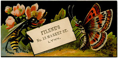 Filene's Department Store, Lynn, Massachusetts
