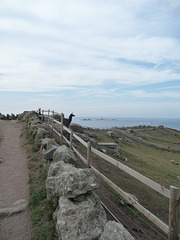 HFF from Land's End