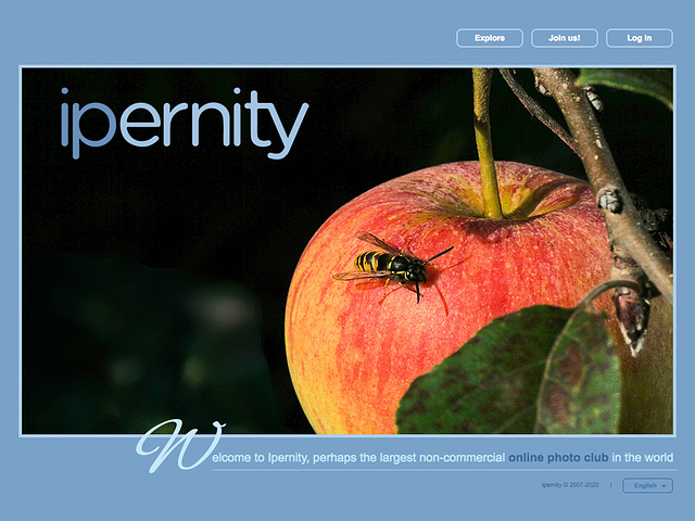ipernity homepage with #1333