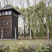 Auschwitz Birkenau-04
