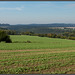 Königstein-Lilienstein-Panorama