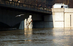 Paris, Pont de l'Alma, Flood