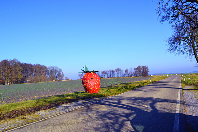 Big Strawberry  :-)