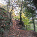 Pathway in The Hill woodland of Himley Estate