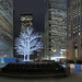Holiday Illumination at the Financial District, Toronto, Canada