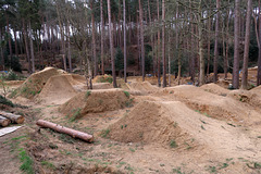 BMX jumps in the woods