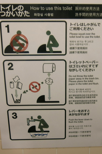 Toilettes "à la turque" au Japon