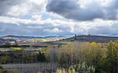 Otoño en La Rioja (región de vinos)