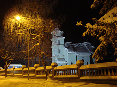 Zimska noć (Winter night)
