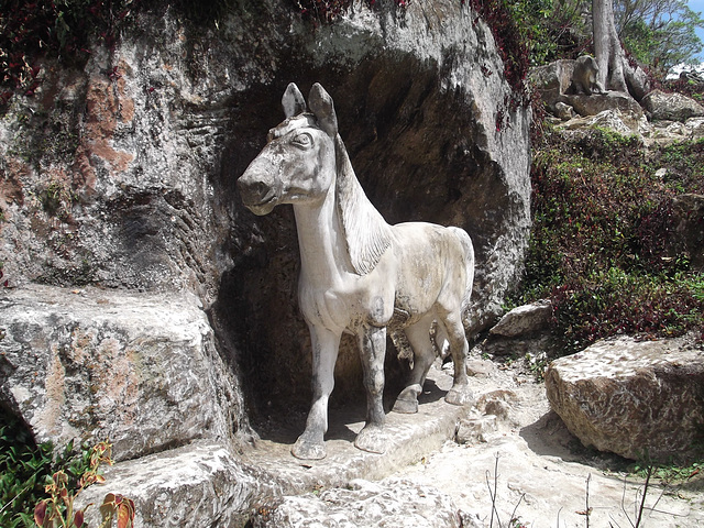 The Stone Zoo “Zoológico de Piedra” one of the kind