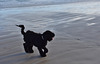 autumn at the beach