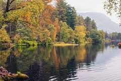 Autumn on the Lochan
