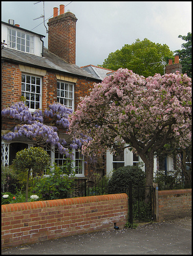 spring in Winchester Road