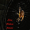 Gedenken an Jina Mahsa Amini (+ 16.9.22)