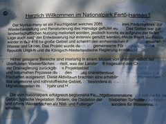 20170519 1661CPw [H] Nationalpark Fertö-Hansag, Neusiedler See