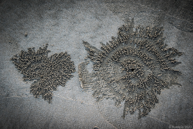Spuren im Sand ... Ngapali Beach (© Buelipix)