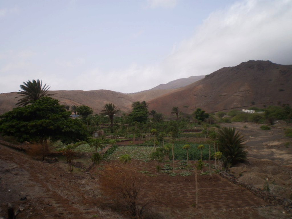 Agriculture on valley.