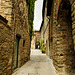 Radda in Chianti, Volpaia, Siena, Tuscany 052814-002