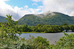 View from near the Muckross House