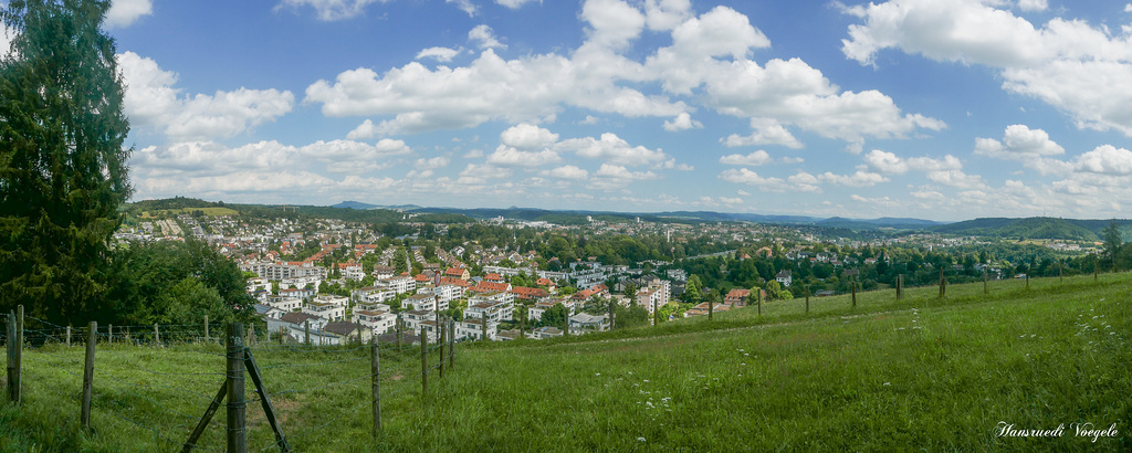 Blick auf die Stadt Schaffhausen