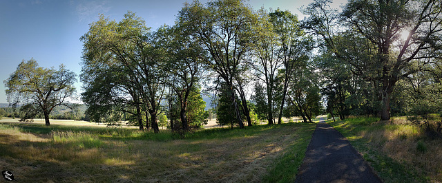 Bike Path at Joseph Stewart State Park (+many insets!)