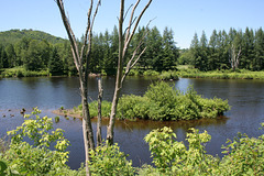 Rivière du Nord