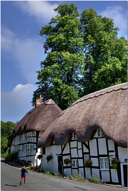 Thatched Cottages, Hampshire