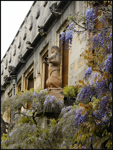 wisteria and grotesques