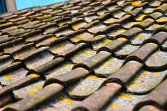 Zuiderzee Museum 2015 – Roof tiles