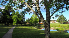 Park At The Lake