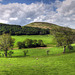 Spring in Wythop Valley, Cumbria
