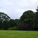Beech Hill Country House, The Lawn in the Park