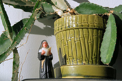 Sister Bernadette of the Immaculate Cactus