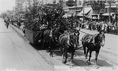 6798. National Patriotic Parade, July 1st, 1915 [Ancient Order of Foresters' float]